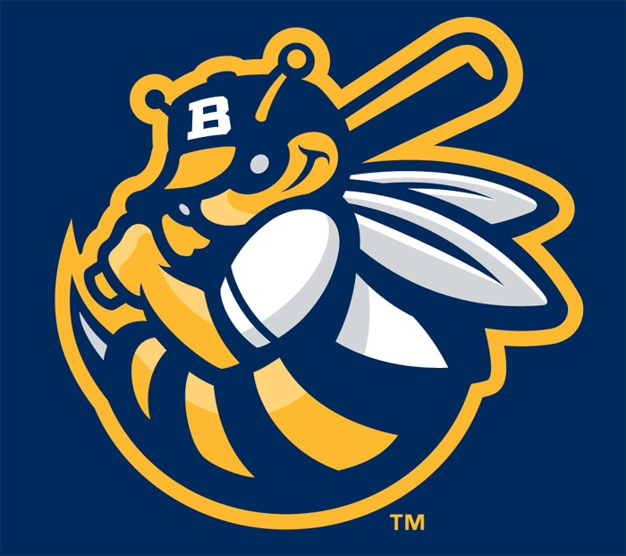 Burlington Bees 2007-Pres Cap Logo v2 iron on transfers for clothing